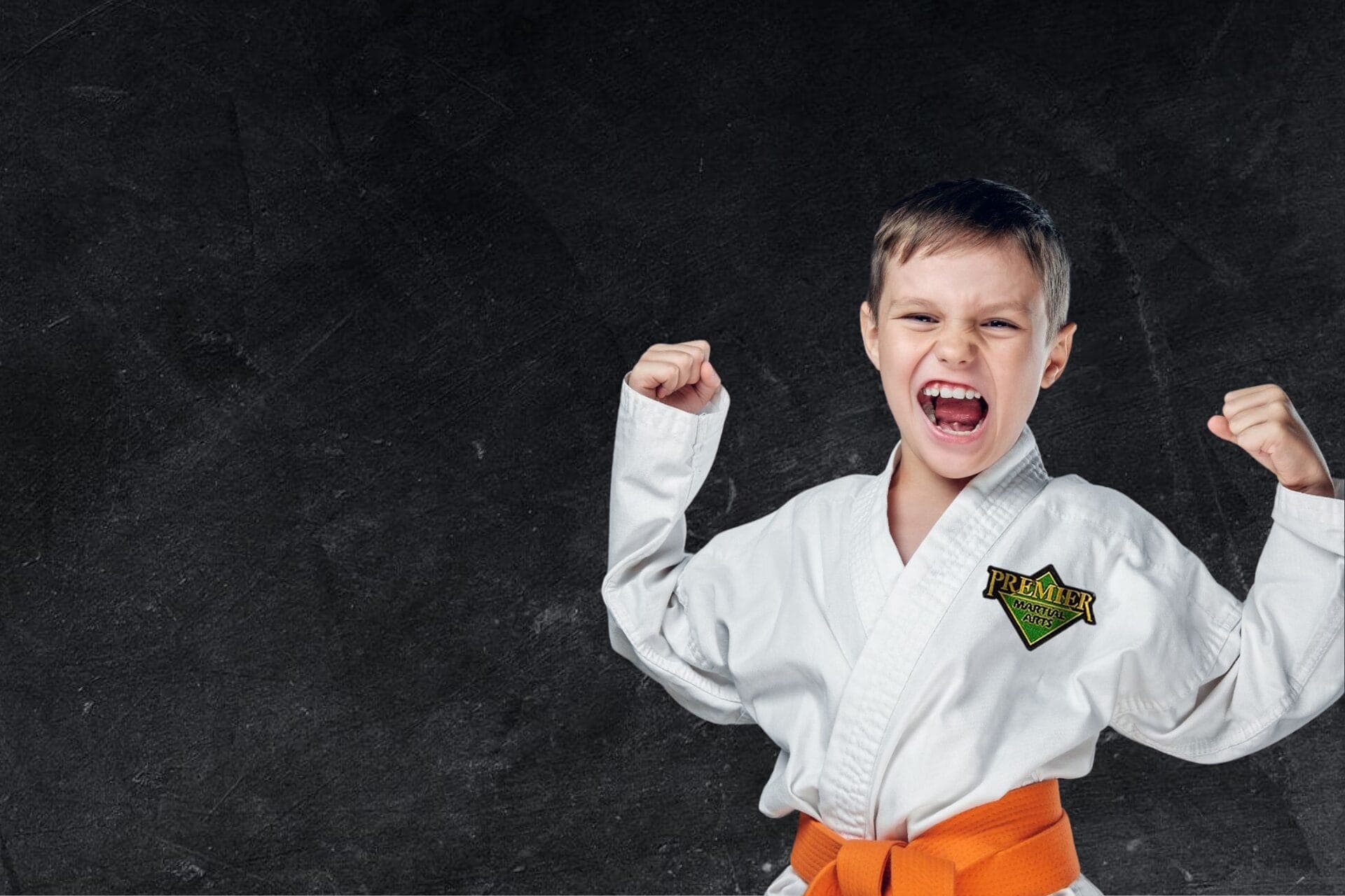 Premier Martial Arts