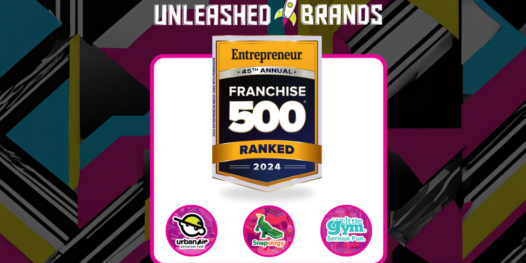 UB Franchise 500 2024 Graphic